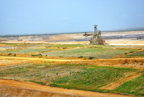 farms in reclaimed area, Mine-2, NLCIL