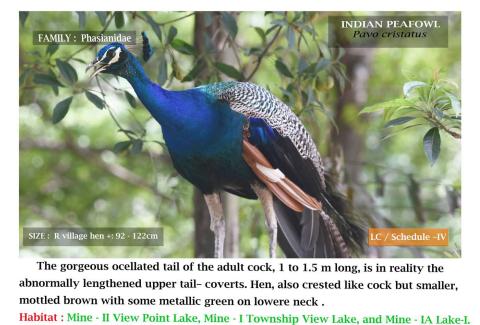 Photo Credits: NLCIL