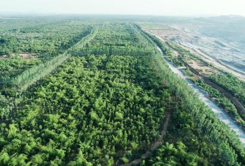 Block Plantation, SCCL