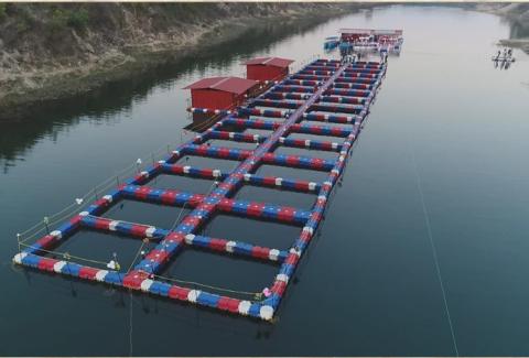 Fish Cages of the Floating Restaurant, Bishrampur Area, SECL
