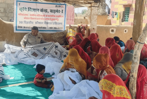 Marwadi Handicraft Skill, Barmer, BLMCL