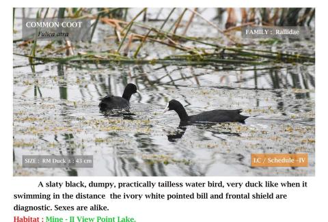 Photo Credits: NLCIL