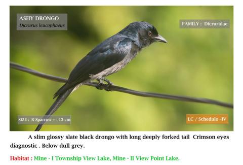 Photo Credits: NLCIL