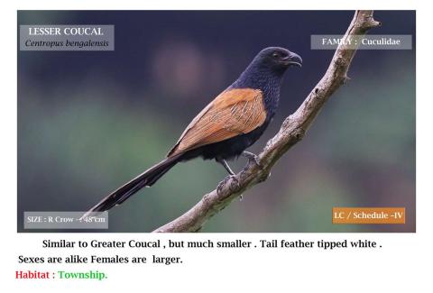 Photo Credits: NLCIL