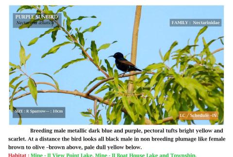 Photo Credits: NLCIL