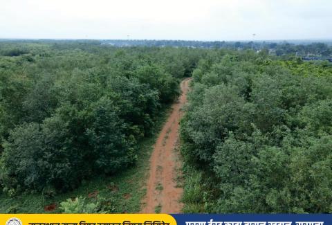 Parsa East Kanta Basan, Sarguja, RRVUNL